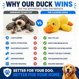 The Calming Duck
