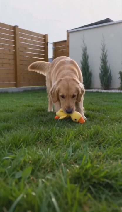 PETCONTROL