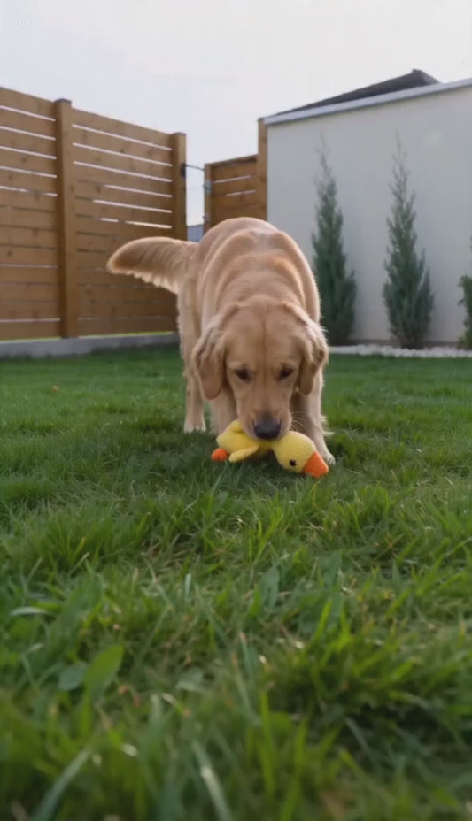 PETCONTROL